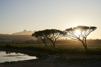 somerset west