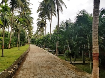 ibex river resort pollachi