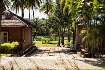 ibex river resort pollachi