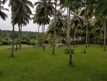 ibex river resort pollachi