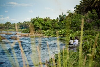 ibex river resort pollachi