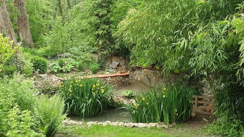 le clos du buisson