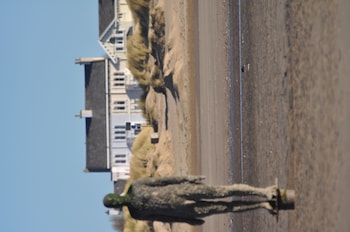 aberley house
