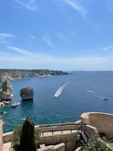 bonifacio