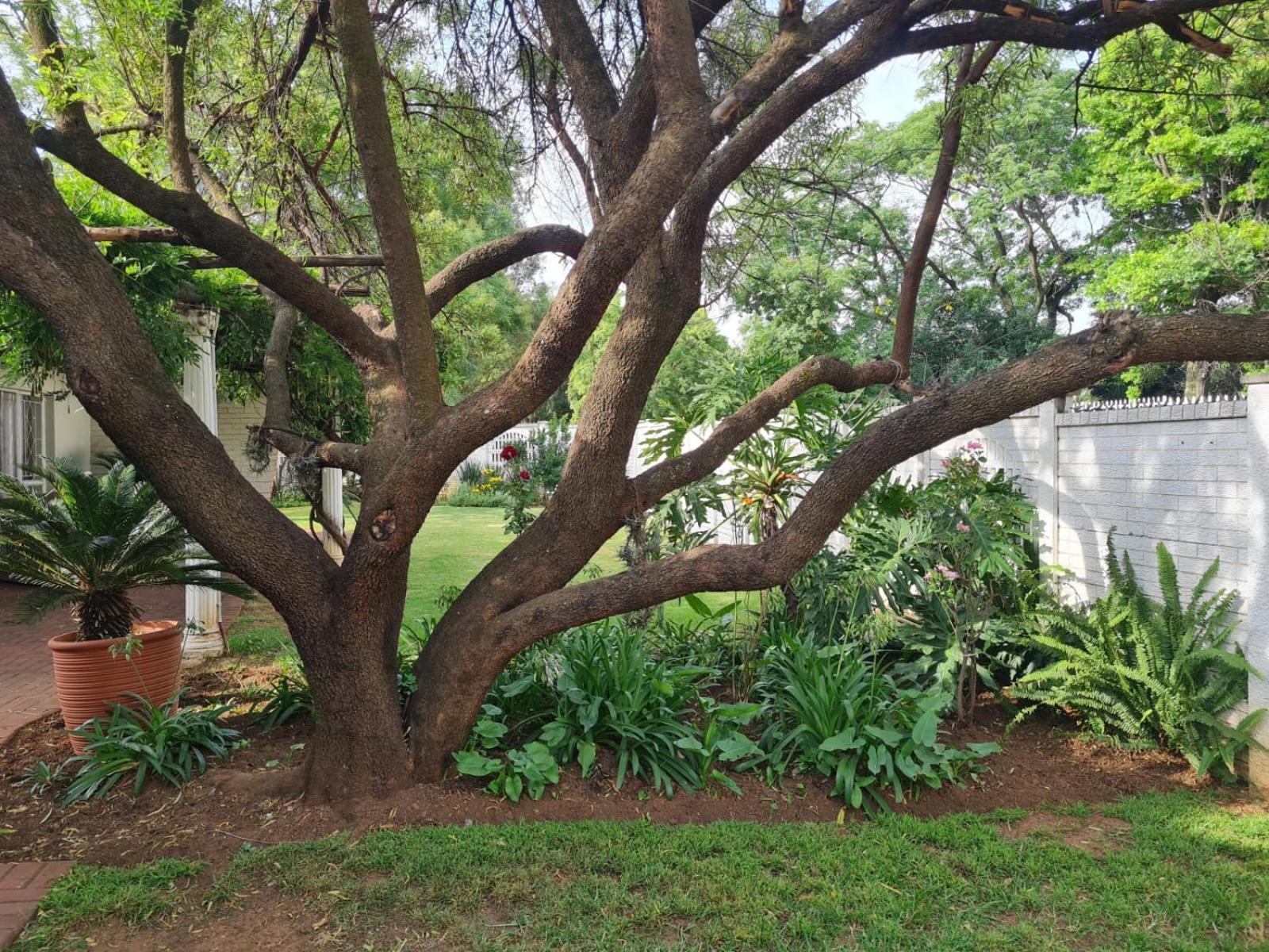 vanderbijlpark