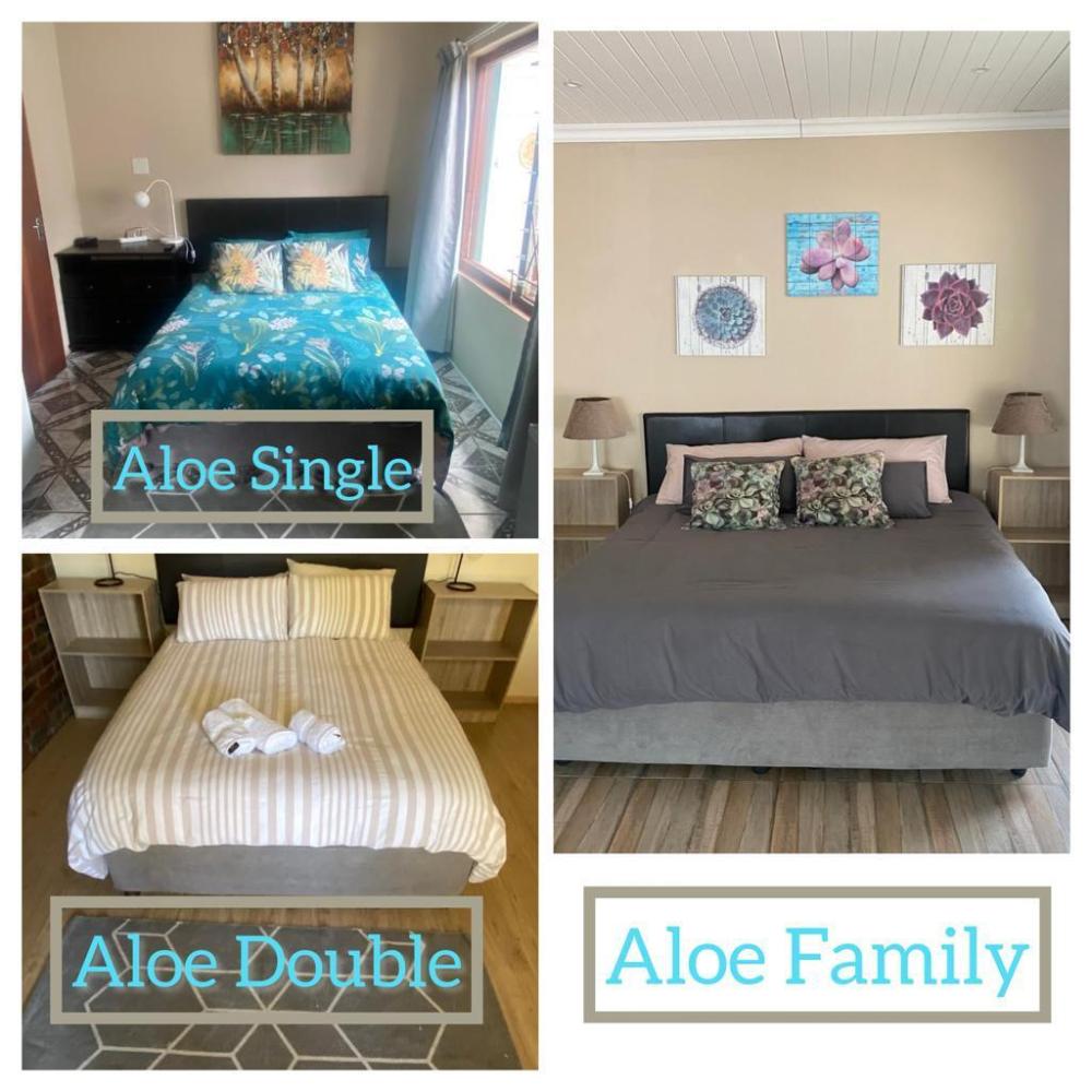 aloe guest rooms