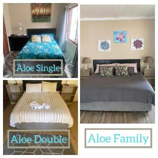 aloe guest rooms