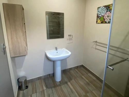 aloe guest rooms
