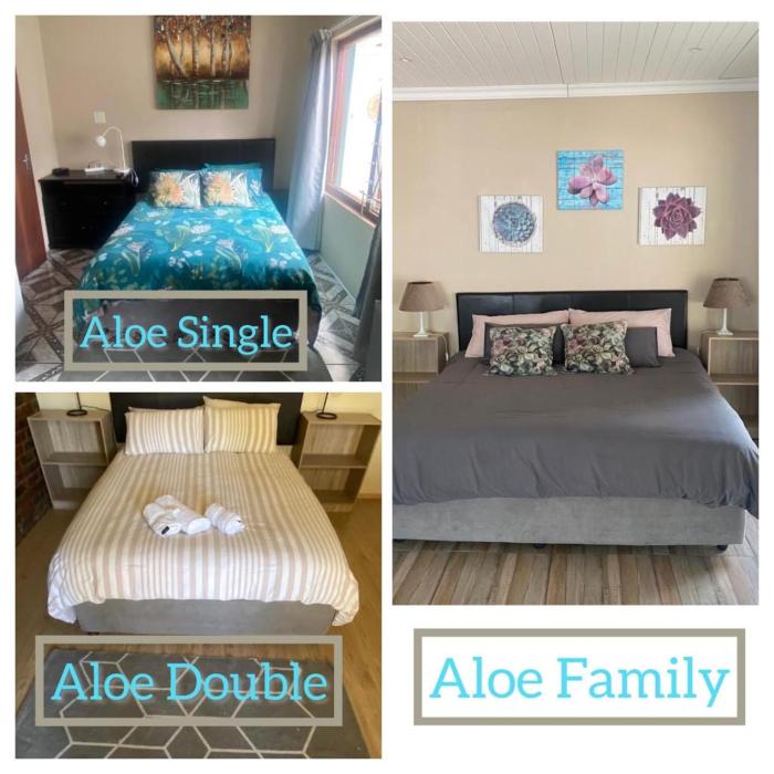 aloe guest rooms