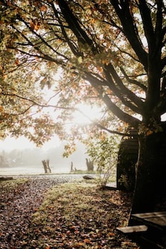 caplor glamping and lodges