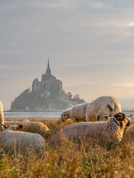 villedieu les poeles