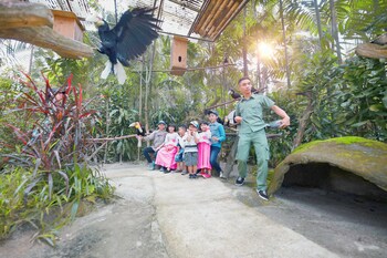 royal safari garden resort and convention