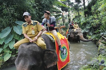 royal safari garden resort and convention