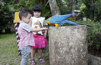 royal safari garden resort and convention