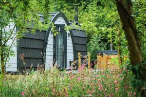 emlyns coppice woodland glamping