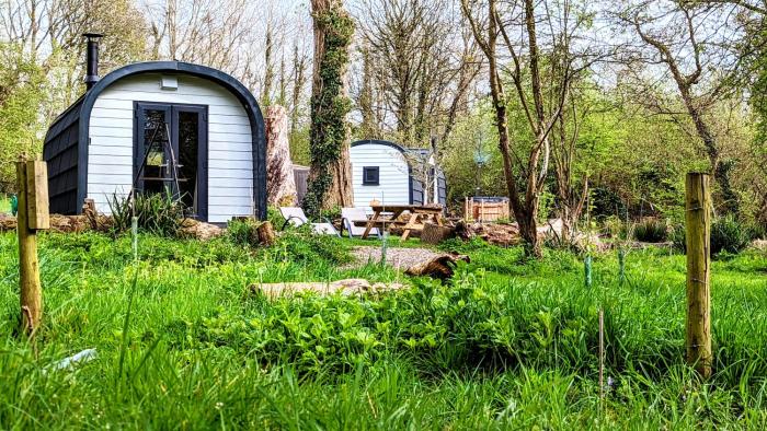 emlyns coppice woodland glamping