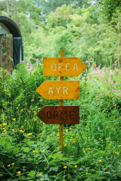 emlyns coppice woodland glamping