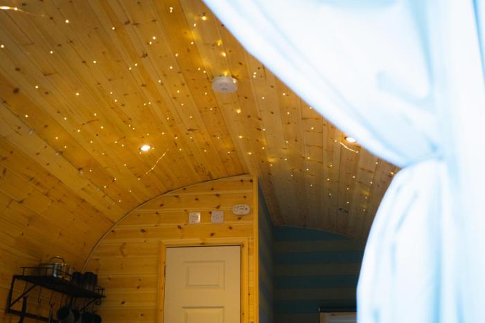 emlyns coppice woodland glamping