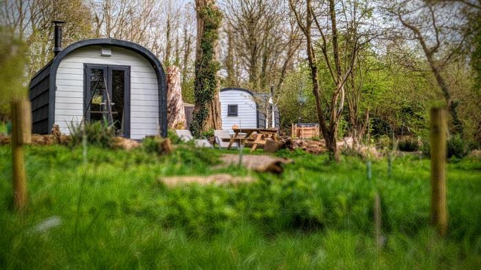 emlyns coppice woodland glamping