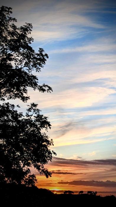 emlyns coppice woodland glamping