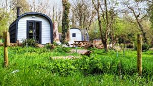 emlyns coppice woodland glamping