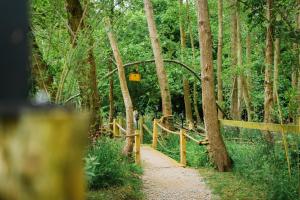 emlyns coppice woodland glamping