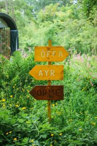 emlyns coppice woodland glamping