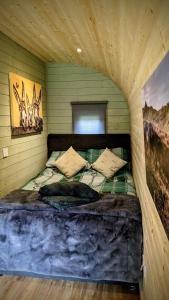 emlyns coppice woodland glamping