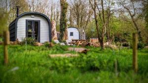 emlyns coppice woodland glamping