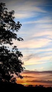 emlyns coppice woodland glamping