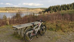 emlyns coppice woodland glamping