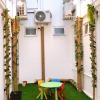 alexis kt roomstay