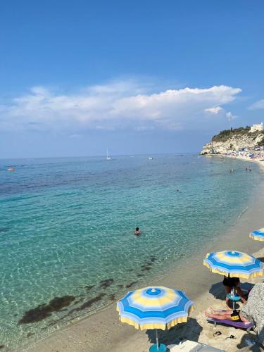 tropea