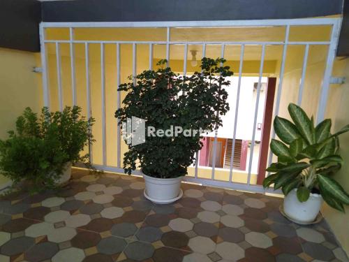 boarding house syariah mm bone redpartner