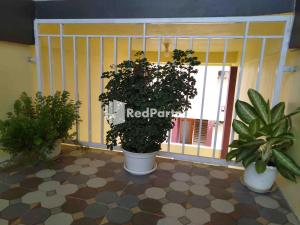 boarding house syariah mm bone redpartner