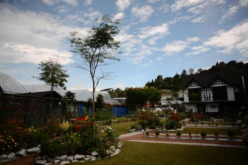 tiny boutique habitat