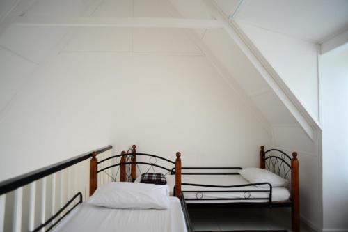 tiny boutique habitat