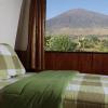 the gate rinjani