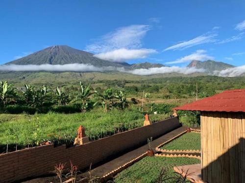 the gate rinjani