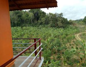 Lake View Homestay By Stayapart,Madikeri>>Kodagu,3 star