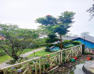 rongo white house by stayapart