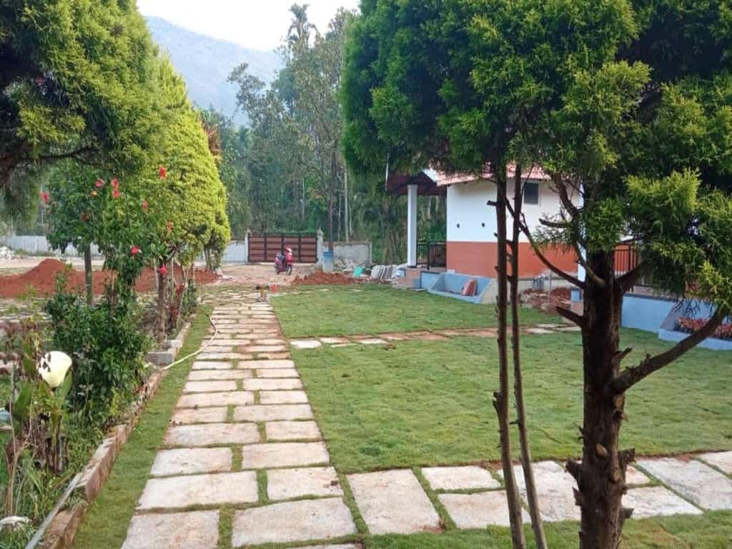 kalasa