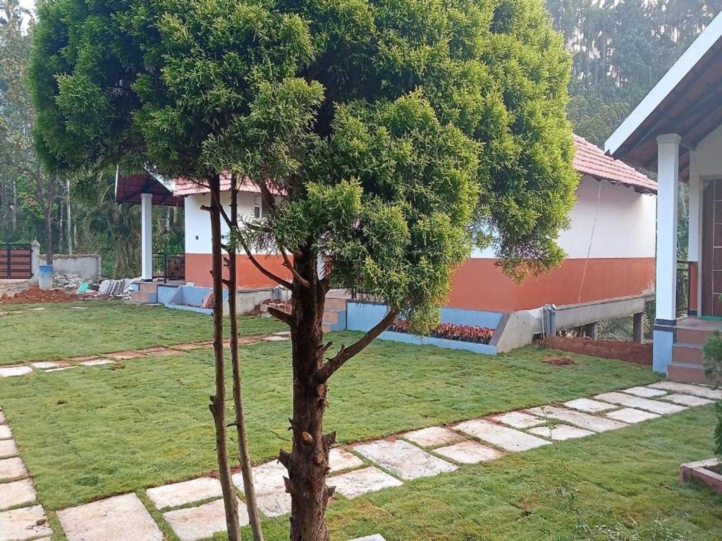 kalasa
