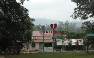 Treebones Resort And Adventure Park