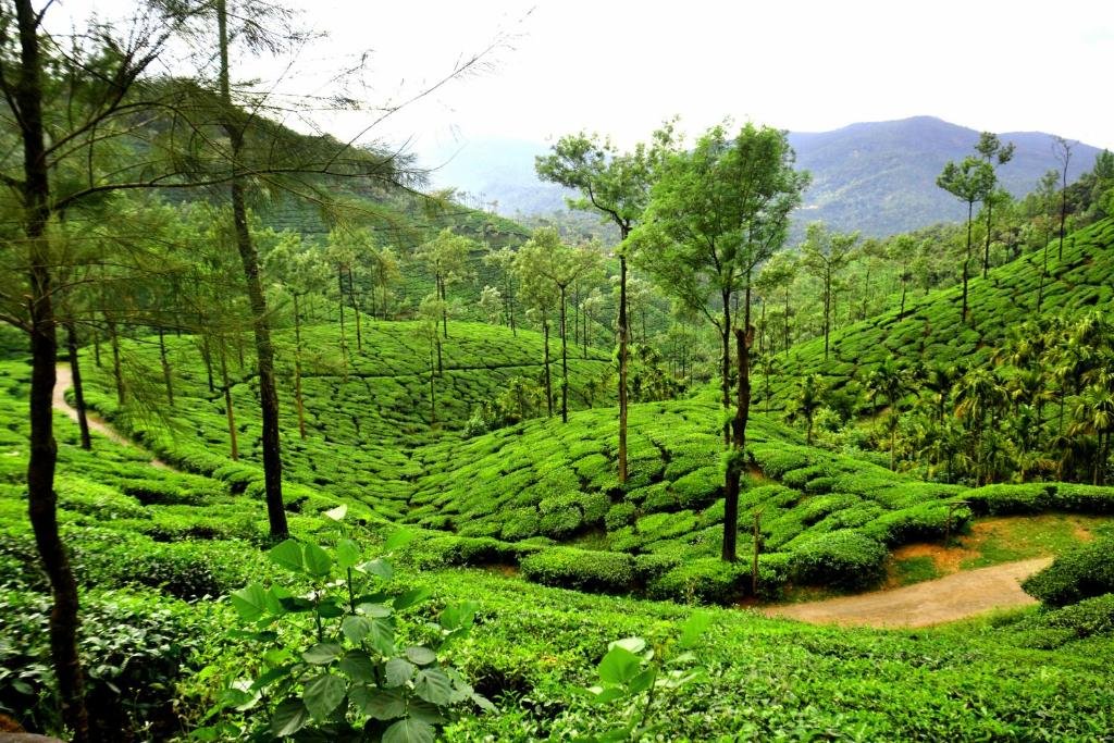 chikkamagaluru