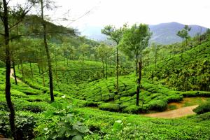 chikkamagaluru