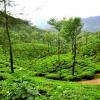 chikkamagaluru