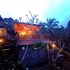 dakayu bali homestay