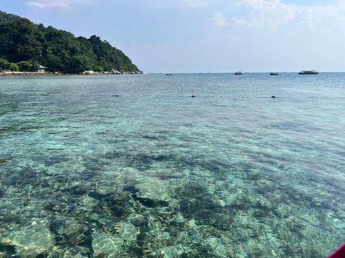 perhentian damia