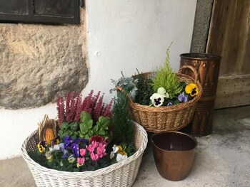 bandb la corte del segrino